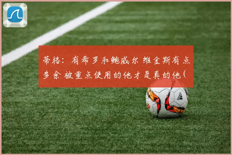 蒂格：有希罗和鲍威尔 维金斯有点多余 被重点使用的他才是真的他(1)